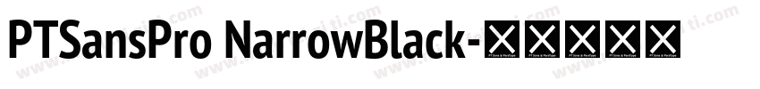 PTSansPro NarrowBlack字体转换